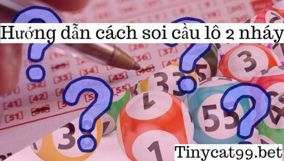 Soi Cầu Lô 2 Nháy 2 Số: Phương Pháp Dự Đoán Chính Xác