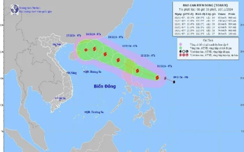 Xổ Số Khánh Hòa Minh Ngọc: Kết Quả & Dự Đoán Ngày 10/11/2024