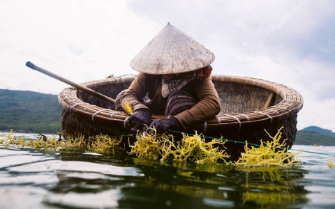 Quay thử XSHCM giờ hoàng đạo - Bí kíp soi cầu may mắn