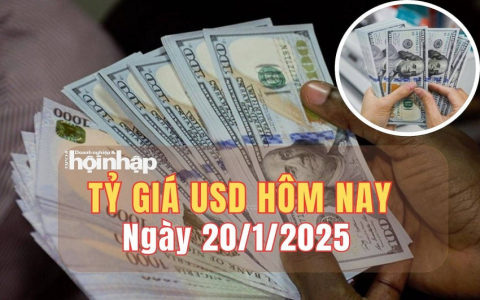 Kết quả dự đoán xổ số Vietlott hôm nay: Chuyên gia mách nước!