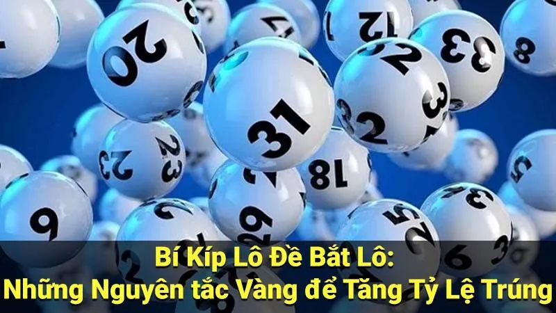 Soi cầu bạch thủ lô VIP: Bí kíp đơn giản, dễ trúng cho người mới