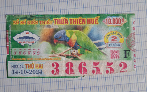 Soi cầu dự đoán xổ số đài trà vinh dễ trúng? Mẹo hay không thể bỏ qua.